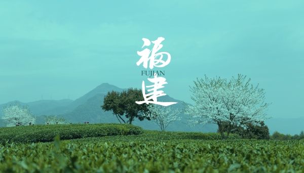 1 同封面-裁剪1713343497403(600).jpg